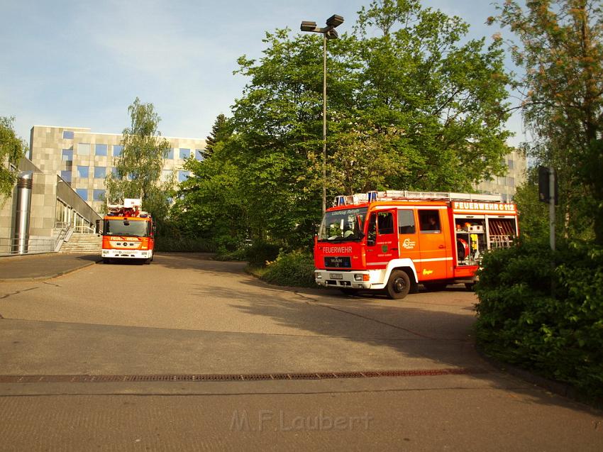 Waldbrand Bergisch Gladbach Bensberg P004.JPG